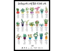 Plantenverzorging Poster - Kamerplant Gids - Planten Leren - Recyclebaar Papier - A4 Formaat - Meerdere Kleuren