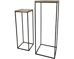 Plantenzuil - Plantentafel - Plantenstandaard - Set van 2 - Plantenstandaard - Zuil - Sokkel - Mangohout
