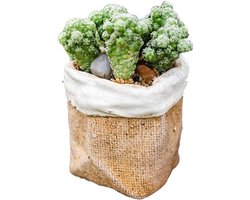 Planter Bloempot Planter Potten Unieke Plantenpotten Beton Imitatie Linnen Pocket Planter Grote Plantenbakken Outdoor(9x9x9cm)