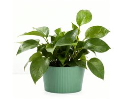 Plantpot Ø25xh14cm