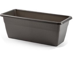 Plasticforte Plantenbak - antraciet grijs - rechthoek - 40 x 18 x 15 cm - Bloembakken - voor binnen/buiten