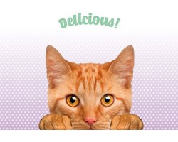 Plenty Gifts Placemat Rode Kat 42 X 30 Cm Polypropyleen Paars