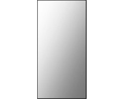 Plieger Basic spiegel sanitair 60x30cm