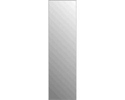 Plieger Fitline 3mm passpiegel 105x30cm zilver