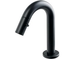 Plieger Lupo 2.0 Toiletkraan – Opbouw fonteinkraan – Laag model – Uitloop 10.1 cm – 10 jaar garantie – Mat zwart