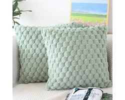 Pluizige Kussenhoezen 45x45 Saliegroen Set van 2 | Ondersteuning voor Luxe Woondecoratie