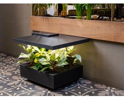 Pluk One Plant-Table - Zwart | De ultieme indoor gardening ervaring! Combineer Dutch Design met planten. Onderhoud je tuin op een stylish manier.