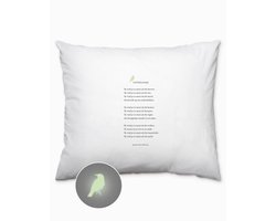 Poezie om te kussen - Plint kussensloop 'Liefdesliedje' Bette Westera