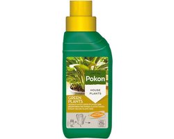Pokon Groene Planten Voeding - 250ml - Plantenvoeding - 10ml per 1L water