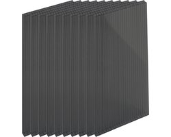 polycarbonaat kanaalplaten - 10 stuks - 4 mm - antraciet