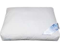 Polydaun Elke hoofdkussen - GRS gerecyclede Fiberdaun vulling - anti-huisstofmijt - navulbaar - stevig - 1000 gram - 62x50x10/5 cm