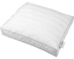 Polydaun First Boxer Hoofdkussen 900 Gr. 60 x 50 x 10 cm