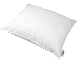 Polydaun Hoofdkussen First Label 60 X 70 Cm Fiberdaun Katoen Wit
