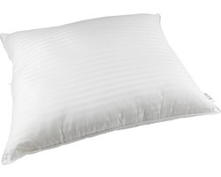 Polydaun Liv - anti-allergisch - Hoofdkussen - Medium - 60x70 cm - Wit