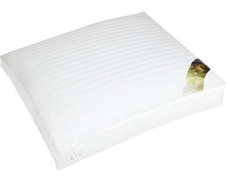 Polydaun Liv Ergo - Synthetisch - Medium - Hoofdkussen - 60x70 cm - Wit