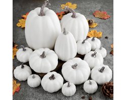 Pompoen Herfstdecoraties, Decoratieve Grote Kleine Outdoor Wit Schuim Plastic Nep Faux Kunstmatige Pompoenen voor Halloween Herfst Oogst Festival Thuis Tafel Decor 16 stks