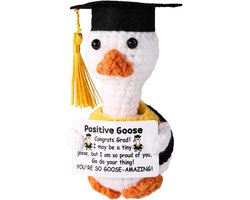 Positieve Gans - Afstudeergans Haken - Emotionele Steun Dieren - Bemoedigend Cadeau - Huis Kantoor Decoratie - Afstudeercadeau