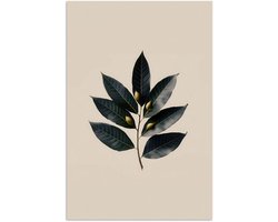 Poster 20x30 cm - Laurierbladeren - Bloemknoppen - subtiel - Posters - Kamer decoratie - Wanddecoratie woonkamer - Muurdecoratie slaapkamer