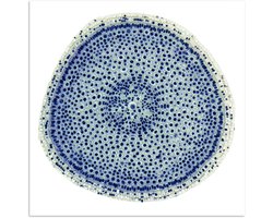 Poster 30x30 cm - Cellen in een ui - Posters - Kamer decoratie - Wanddecoratie woonkamer - Muurdecoratie slaapkamer