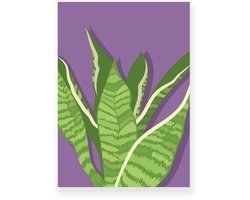 Poster 30x40 cm - Sansevieria - Planten - Groen - Paars - Botanisch - Minimalistisch - Muurdecoratie - Wanddecoratie