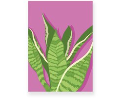 Poster 30x40 cm - Sansevieria - Planten - Groen - Roze - Botanisch - Minimalistisch - Muurdecoratie - Wanddecoratie