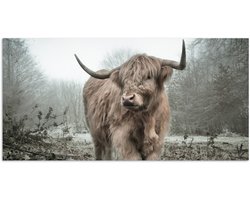 Poster 40x20 cm - Schotse Hooglander - Bos - Mist - Koe - Dieren - Natuur - Posters - Kamer decoratie - Wanddecoratie woonkamer - Muurdecoratie slaapkamer