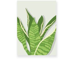 Poster 50x70 cm - Sansevieria - Planten - Groen - Beige - Botanisch - Minimalistisch - Muurdecoratie - Wanddecoratie