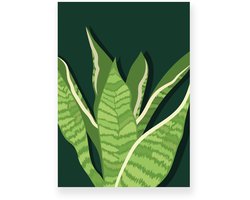Poster 50x70 cm - Sansevieria - Planten - Groen - Donkergroen - Botanisch - Minimalistisch - Muurdecoratie - Wanddecoratie