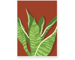 Poster 50x70 cm - Sansevieria - Planten - Groen - Roodbruin - Botanisch - Minimalistisch - Muurdecoratie - Wanddecoratie