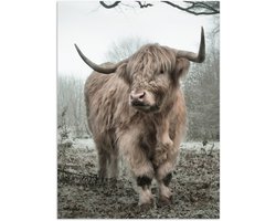 Poster 90x120 cm - Schotse Hooglander - Bos - Mist - Koe - Dieren - Natuur - Posters - Kamer decoratie - Wanddecoratie woonkamer - Muurdecoratie slaapkamer
