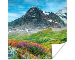 Poster Bloemen - Berg - Sneeuw - Landschap - 30x30 cm