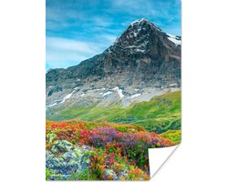 Poster Bloemen - Berg - Sneeuw - Landschap - 30x40 cm