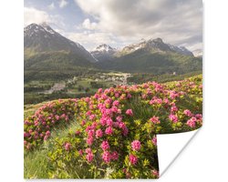 Poster Bloemenweide - Bergen - Roze - 30x30 cm