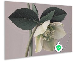 Poster - Decoratie woonkamer - Botanicals - Slaapkamer - Wanddecoratie - Groen - 120x80 cm
