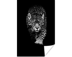 Poster Dieren - Zwart - Luipaard - Wit - Wild - 20x30 cm