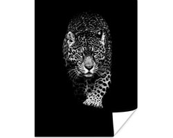 Poster Dieren - Zwart - Luipaard - Wit - Wild - 30x40 cm