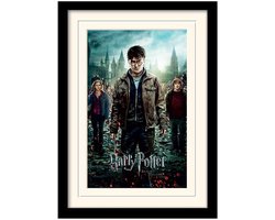 Poster - Harry Potter Mounted & Deathly Hallows Part - 40 X 30 Cm - Multicolor