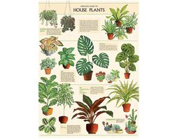 Poster Huisplanten - Cavallini & Co - Vintage Schoolplaat Planten