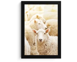 Poster in lijst - Fotolijst 20x30 cm - Posters - Schaap - Wol - Wit - Posterlijst zwart - Decoratie - Wanddecoratie woonkamer - Muurdecoratie slaapkamer