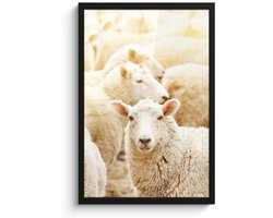 Poster in lijst - Fotolijst 40x60 cm - Posters - Schaap - Wol - Wit - Posterlijst zwart - Decoratie - Wanddecoratie woonkamer - Muurdecoratie slaapkamer