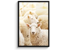 Poster in lijst - Fotolijst 60x90 cm - Posters - Schaap - Wol - Wit - Posterlijst zwart - Decoratie - Wanddecoratie woonkamer - Muurdecoratie slaapkamer