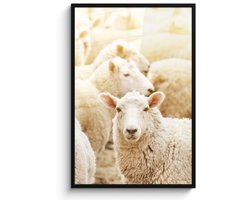 Poster in lijst - Fotolijst 80x120 cm - Posters - Schaap - Wol - Wit - Posterlijst zwart - Decoratie - Wanddecoratie woonkamer - Muurdecoratie slaapkamer