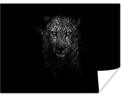 Poster Luipaard - Zwart - Wit - 120x90 cm