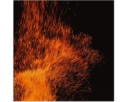 Poster (Mat) - Oranje Spetters van Vuurkorf - 80x80 cm Foto op Posterpapier met een Matte look