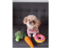 Poster (Mat) - Pluizige Puppy met Verzameling Speeltjes op Bank - 30x40 cm Foto op Posterpapier met een Matte look
