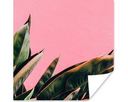 Poster Planten - Bladeren - Vrouwentong - Roze - Tropisch - 50x50 cm