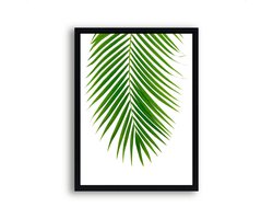 Poster Tropisch palmboom blad midden - gekleurd / Planten / Bladeren / 30x21cm