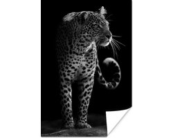 Poster Wilde dieren - Luipaard - Natuur - Zwart - Wit - 20x30 cm
