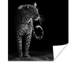 Poster Wilde dieren - Luipaard - Natuur - Zwart - Wit - 30x30 cm