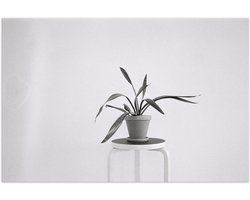 Poster – Zwart-Witte foto van Plant op Kruk - 60x40cm Foto op Posterpapier